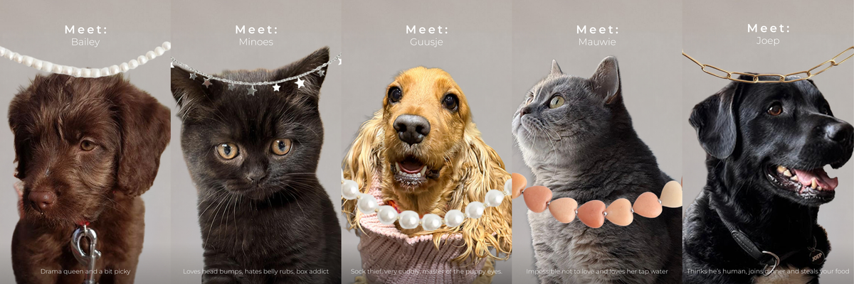 Vier Internationale Dierendag met animal sieraden collectie van Notbranded