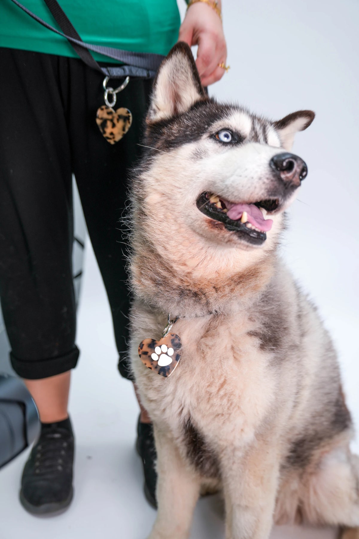 Paw - Charm Herz Tier - Limited Edition