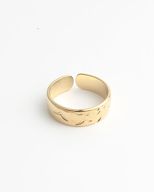 Hirundo - Ring - Stainless Steel - Adjustable
