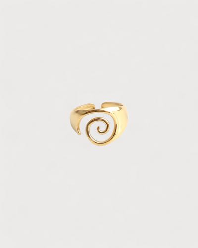 Whirl - Ring - Edelstahl