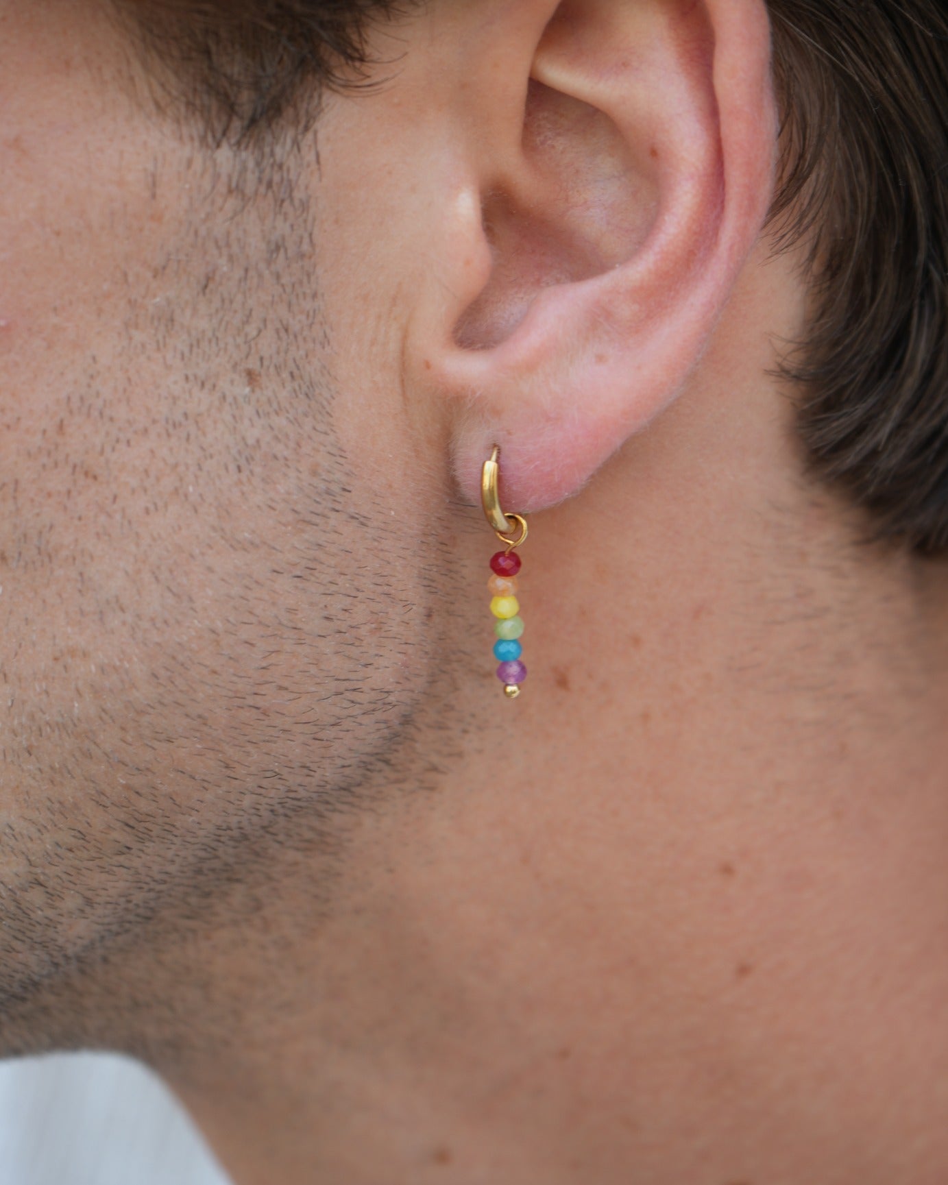 Pride - Limited Edition - Ohrringe - Edelstahl