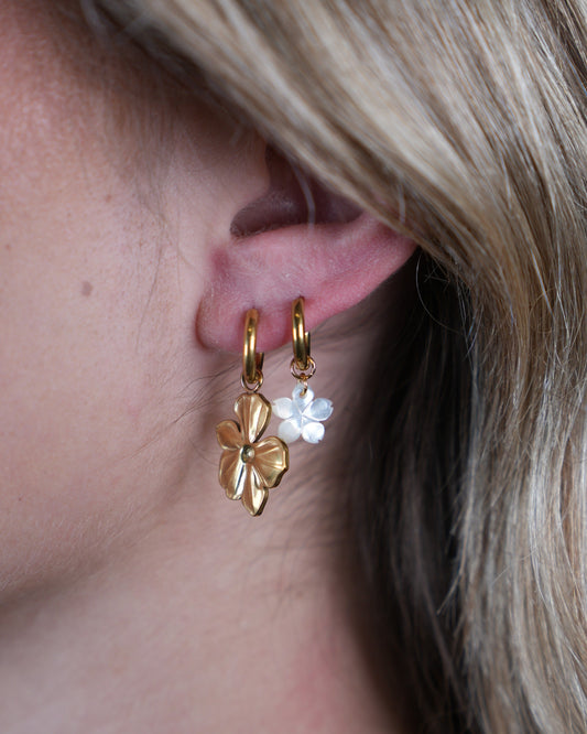FlowerShell_Oorbellen_Goud_Modelfoto