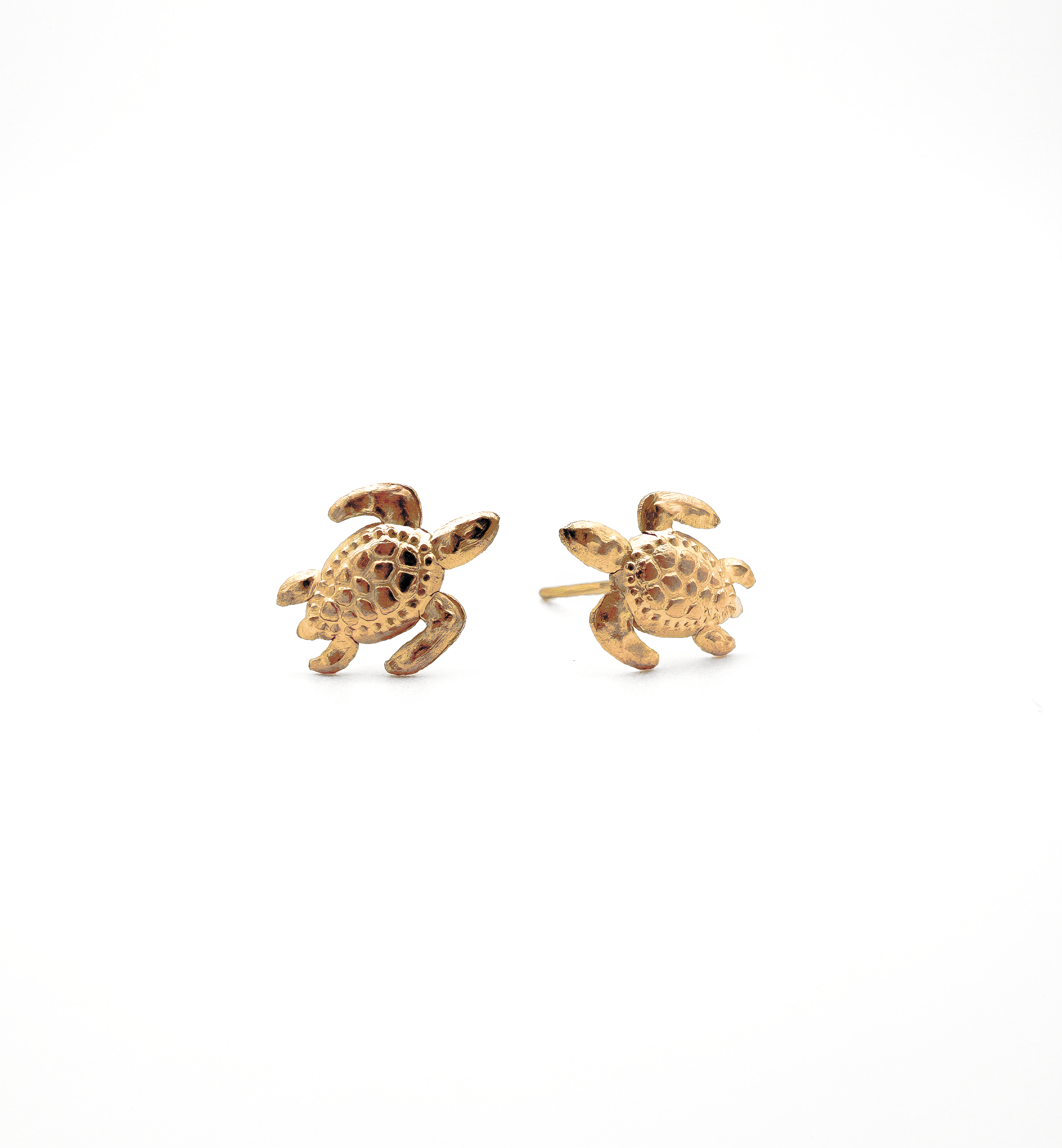 Schildkröte - Ohrringe - Edelstahl