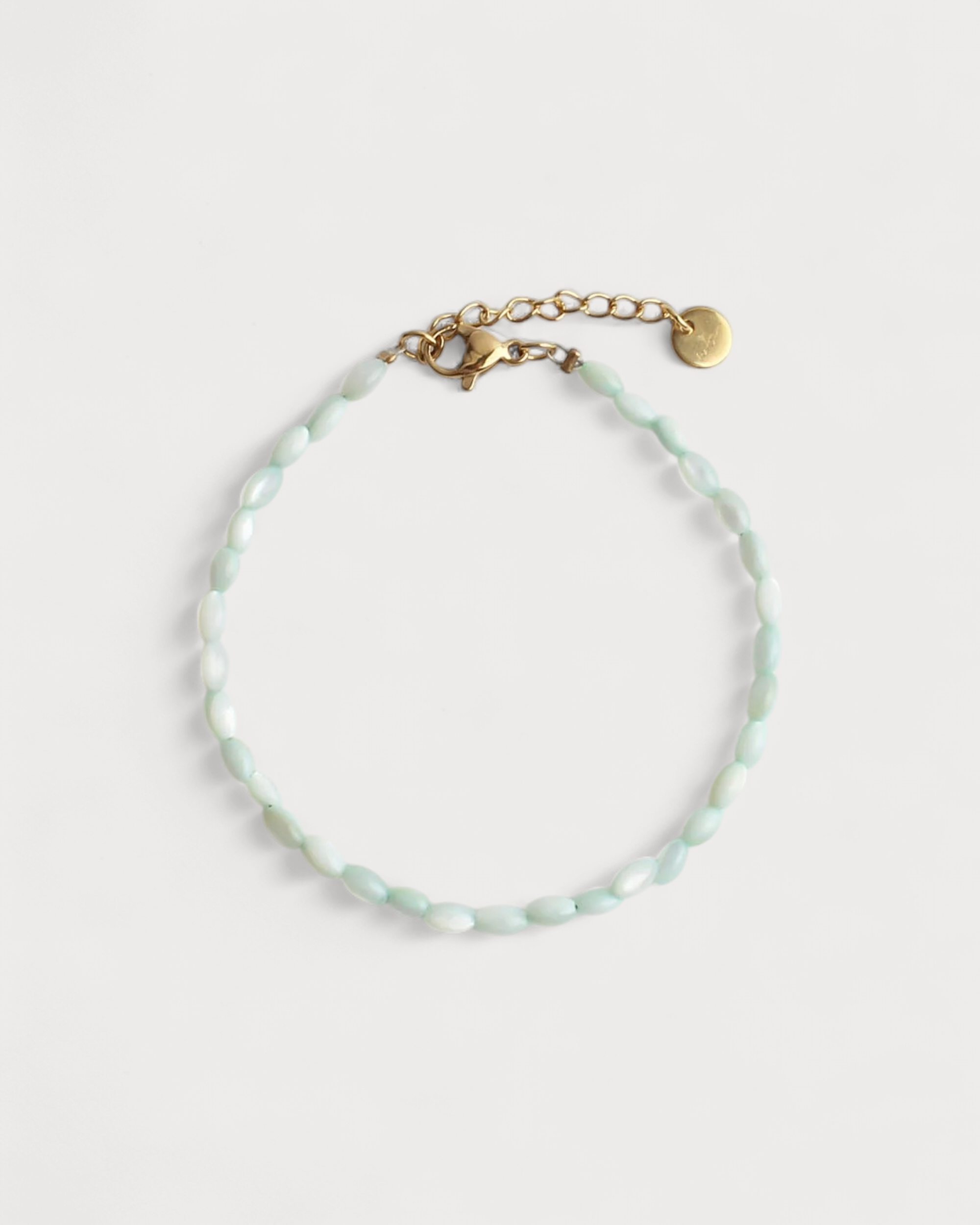 Echte Muschel - Armband - Edelstahl