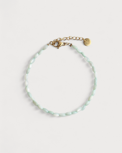 Echte Muschel - Armband - Edelstahl