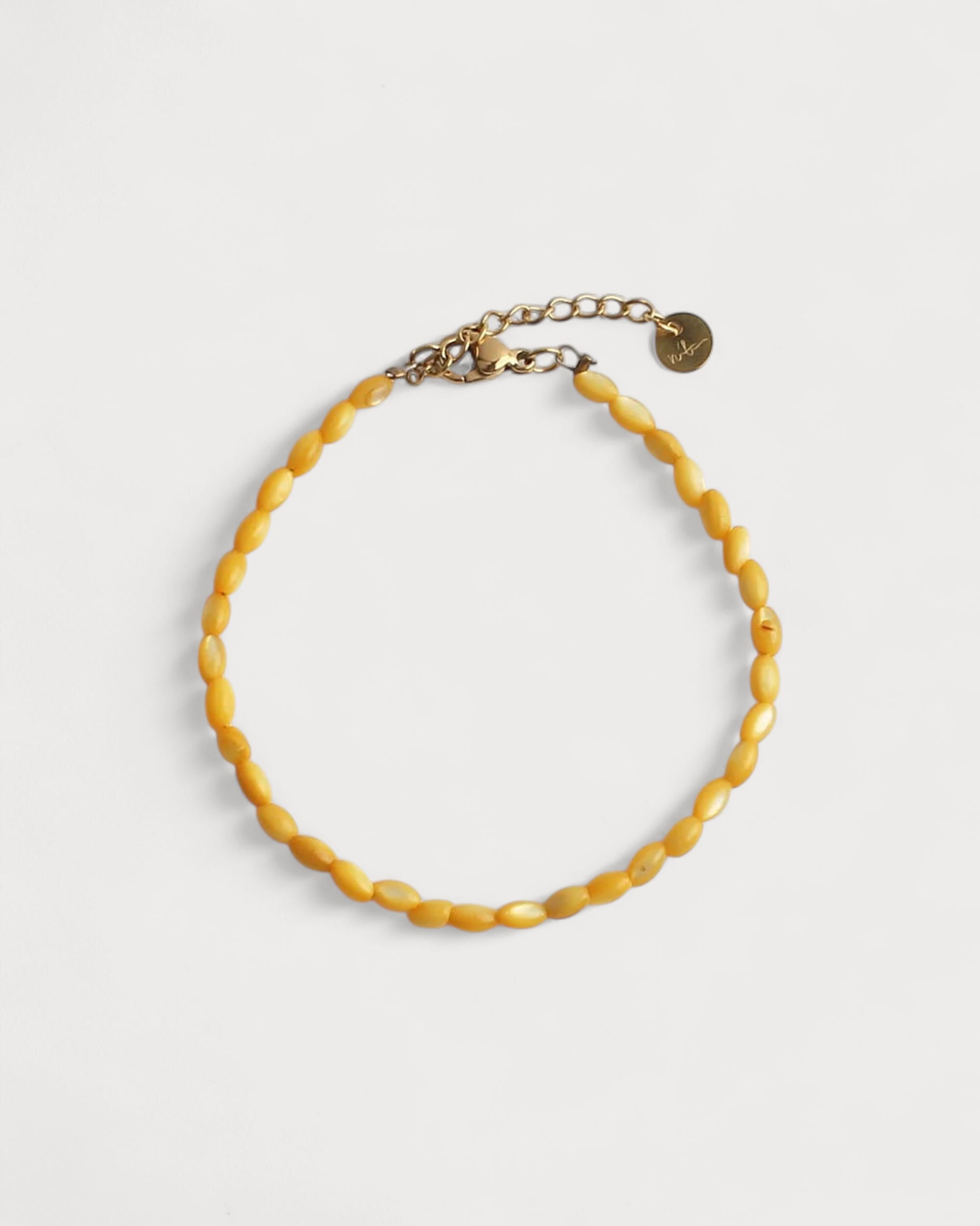 Echte Muschel - Armband - Edelstahl