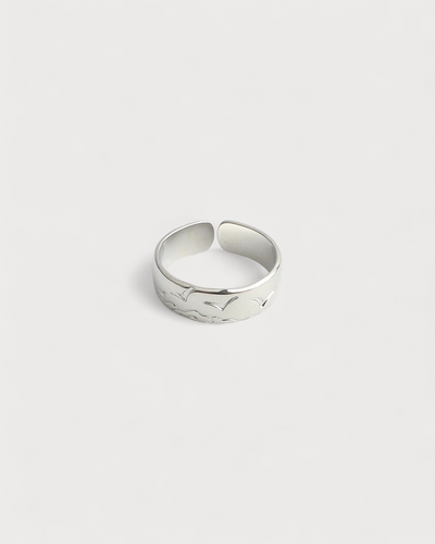 Hirundo - Ring - Edelstahl - Verstellbar