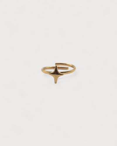 Starly - Ring - Edelstahl - Verstellbar