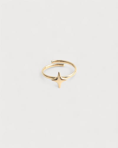 Starly - Ring - Edelstahl - Verstellbar