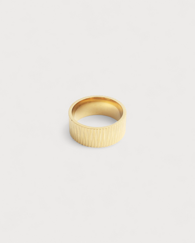 Dante - Ring - Edelstahl