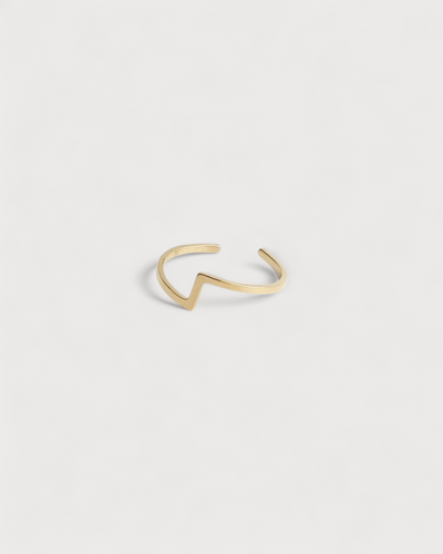 Robin - Ring - Edelstahl - Verstellbar