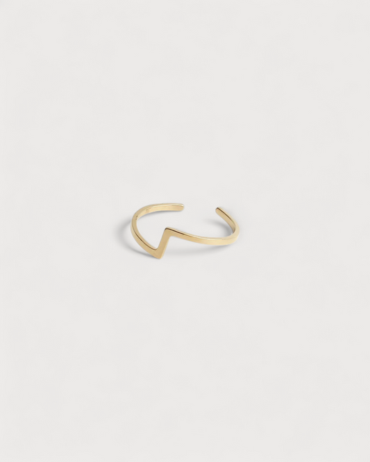 Robin - Ring - Edelstahl - Verstellbar